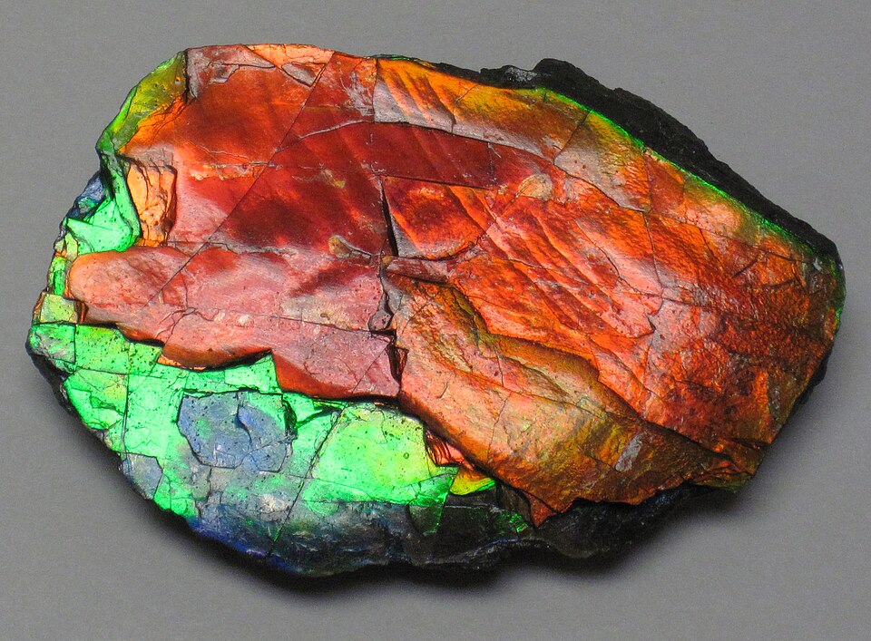 Ammolite