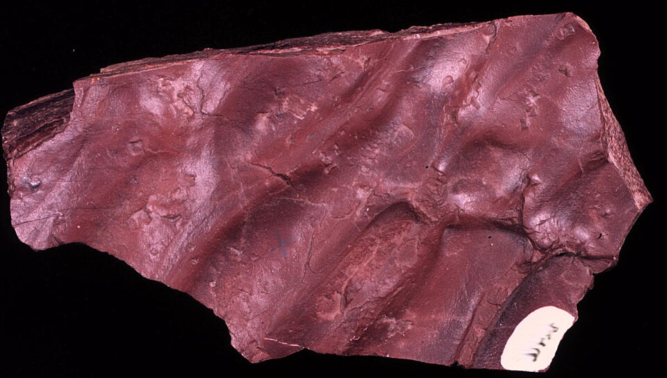 Argillite
