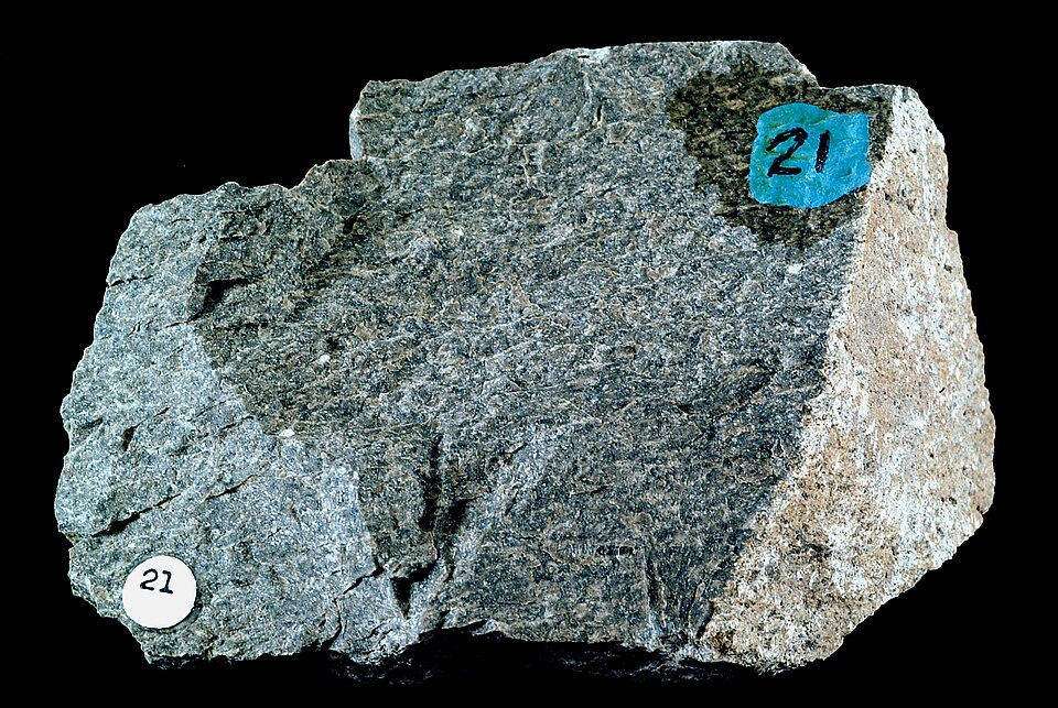 Fonolite