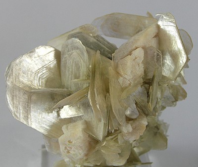 Muscovite
