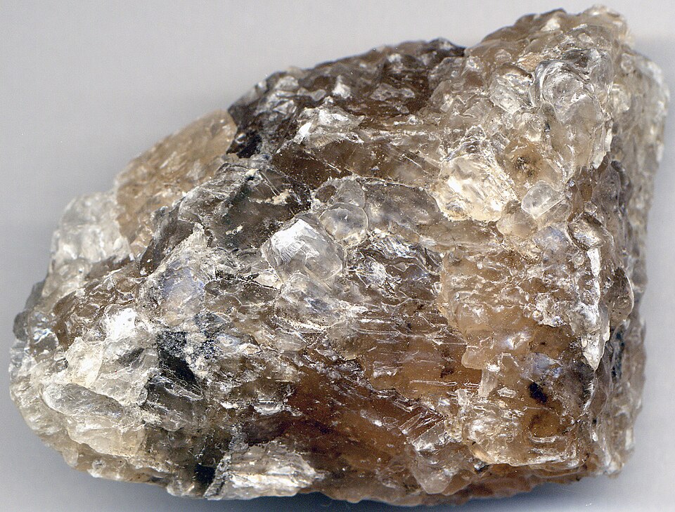 Salgemma