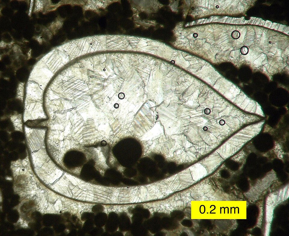 Sparite